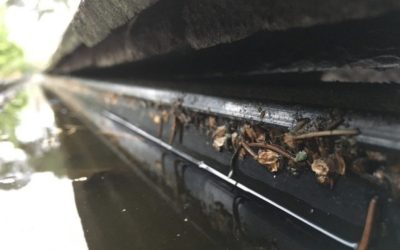 Gutter Cleaning & Repairs 101